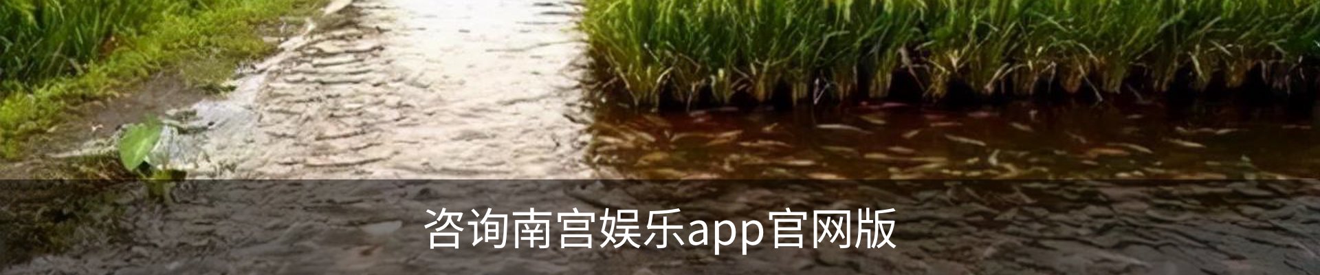 咨询南宫娱乐app官网版